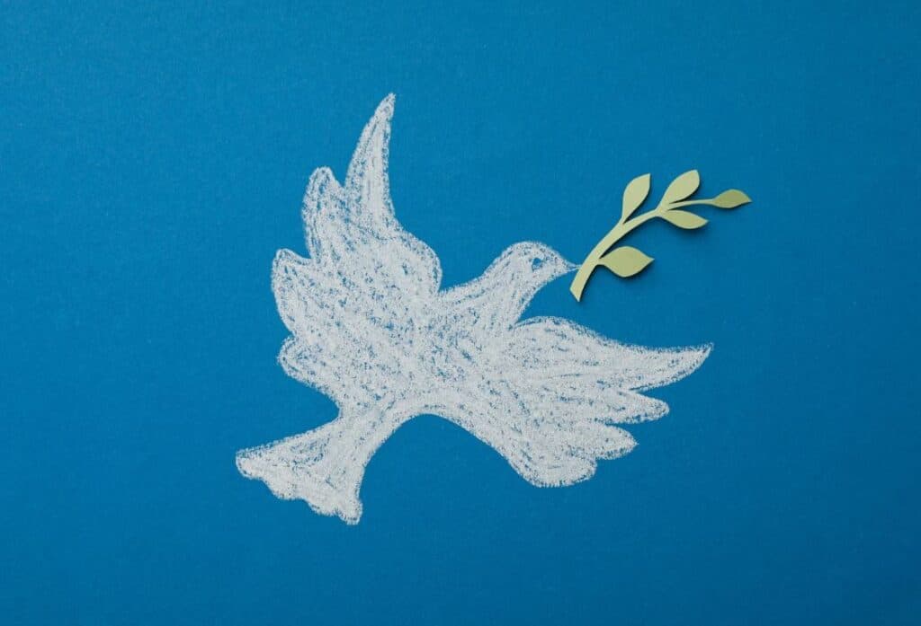 Projekt SPEC - edukacja na rzecz pokoju