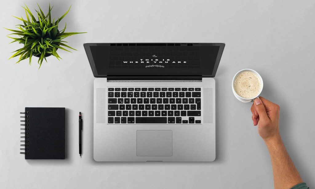 laptop, notes, roślinka, ramię z kubkiem kawy