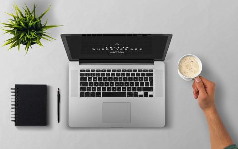 laptop, notes, roślinka, ramię z kubkiem kawy